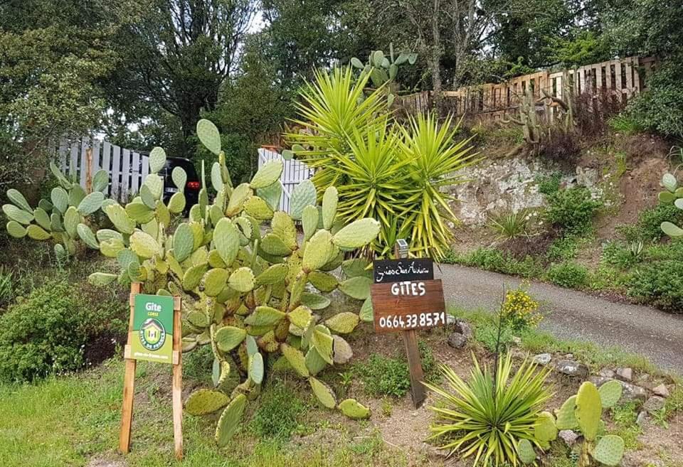 Gites San Austinu Petreto-Bicchisano Kültér fotó